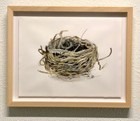 (Abira Ali) Mud Nest