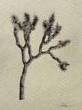 (Parker Thornton) Desert Dancer 1