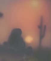 (Brooks Shane Salzwedel) Double Setting Suns