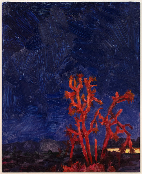 (Rachel Rickert) Joshua Tree with Brake Lights