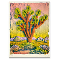 (Ian MacKay) Colorful Joshua Tree Print 18x24