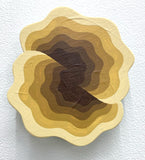 (Michael Wayne Hall)  Large Mini 5