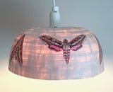 (Ariane Vielmetter) Lampshade with White Lined Sphinx Moths