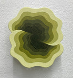 (Michael Wayne Hall)  Medium Mini 2