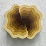 (Michael Wayne Hall)  Medium Mini 5