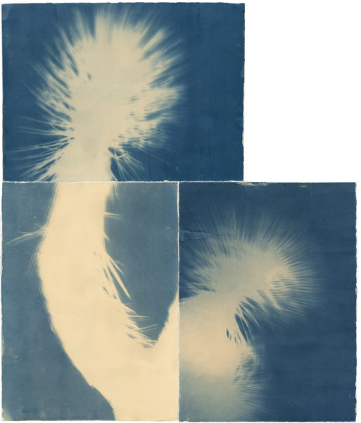 (Meg Madison) The Ground They Stand On, II, var. 5