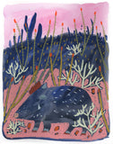 (Melissa Lakey) Peaceful Javelina