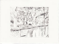 (Matthew Kam) Orient Grove