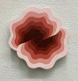 (Michael Wayne Hall)  Small Mini 11