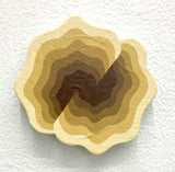 (Michael Wayne Hall)  Small Mini 15