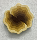 (Michael Wayne Hall)  Small Mini 16