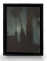 (Brooks Shane Salzwedel) Shadows