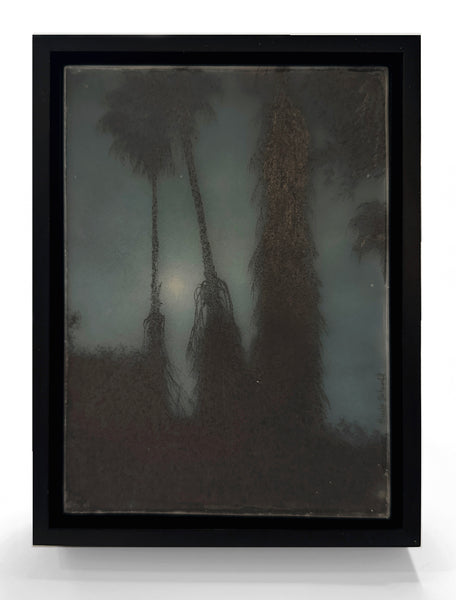 (Brooks Shane Salzwedel) Shadows