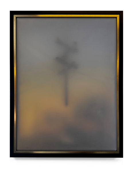 (Brooks Shane Salzwedel) Suspended_Communication_LAFires