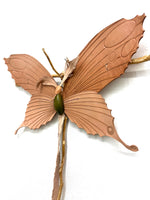 (Frieda Gossett) Butterfly 2