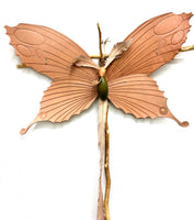 (Frieda Gossett) Butterfly 2