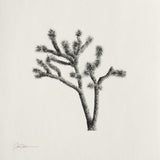 (Parker Thornton) Conjoined