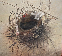 (Abira Ali) Found Nest