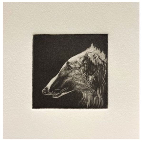 (Matthew Aceves) Borzoi